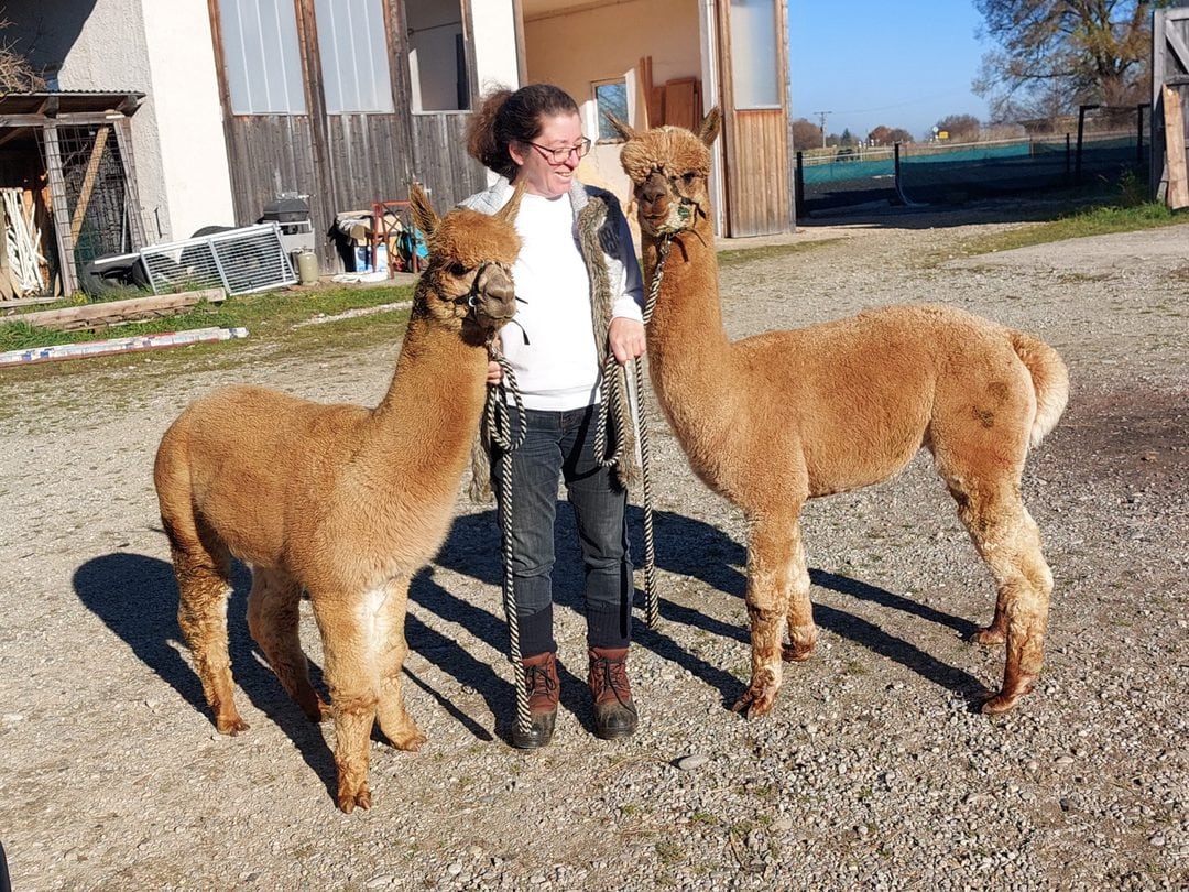 Willkommen Kon Tiki und Sherlock!!!